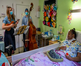 The Spitz playing in hospital